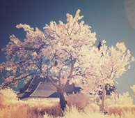 攻击网站在线工具